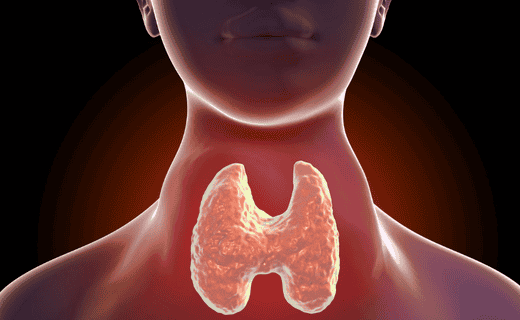 Signs You May Have a Thyroid Problem
